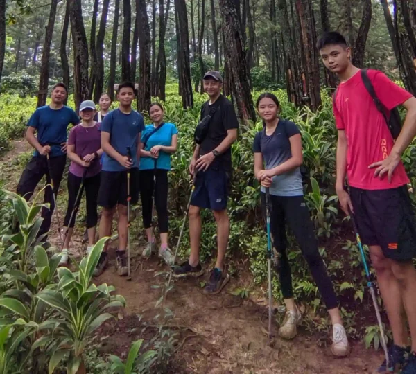 Photo di hutan pinus sebelum goa garunggang