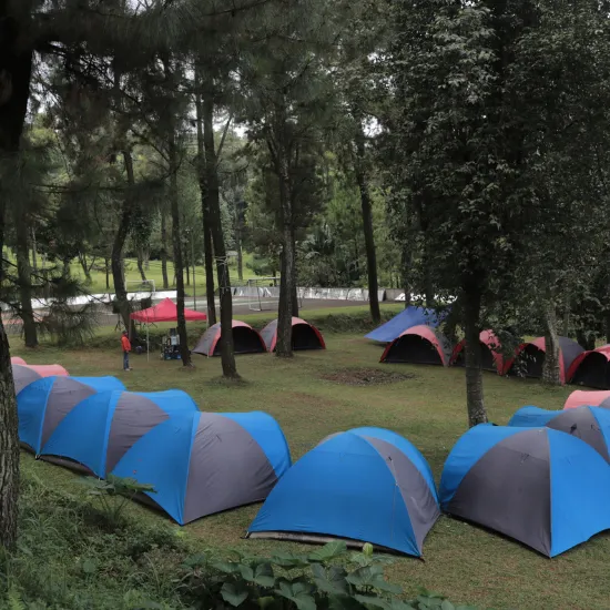 Camping & Glamping